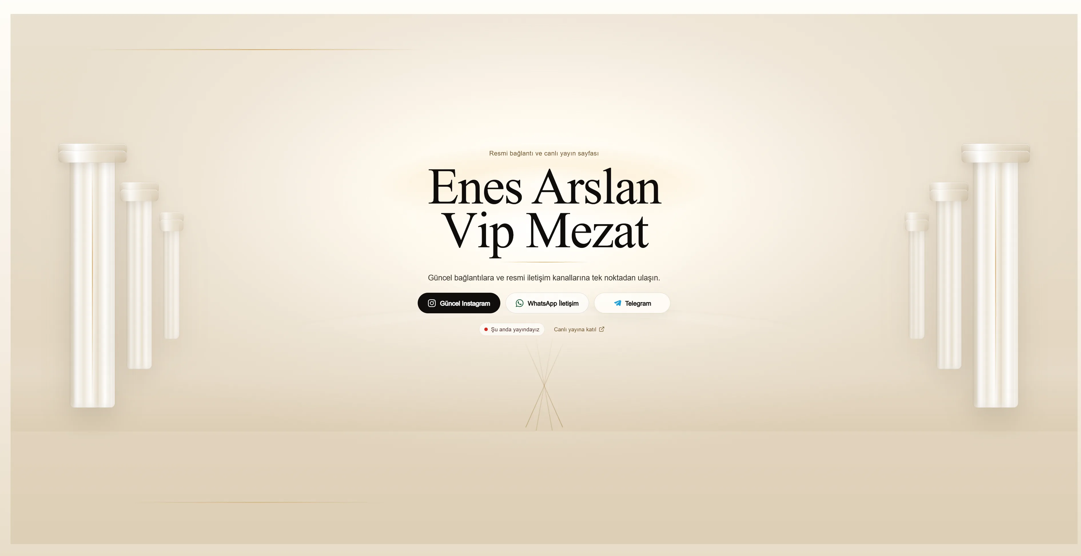 Mezat link portalı ana sayfa tasarımı