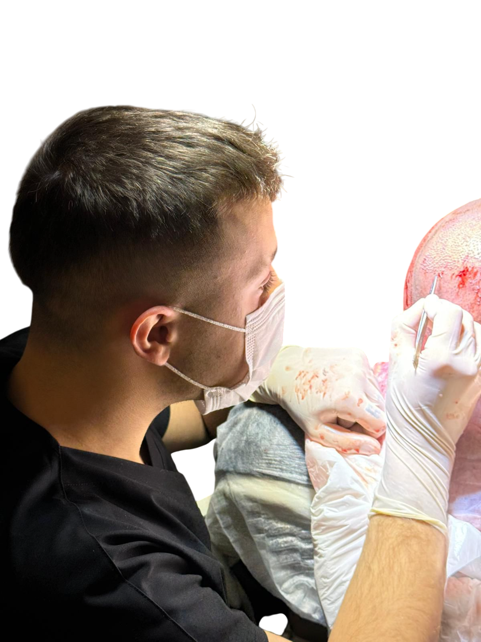 Mehmet Gülen Saç Ekim web projesi